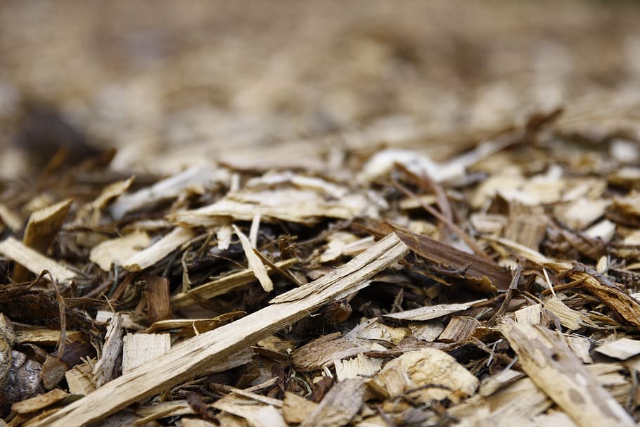 macro, ground, texture, wood, stones, rocks, light, bark, perspective HD wallpaper