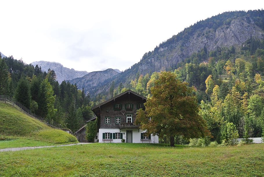 tree, mountain, austria, plant, architecture, built structure HD wallpaper