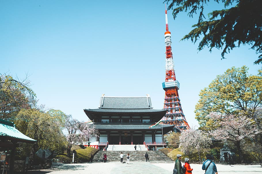 architecture, building, human, person, temple, shrine, worship HD wallpaper