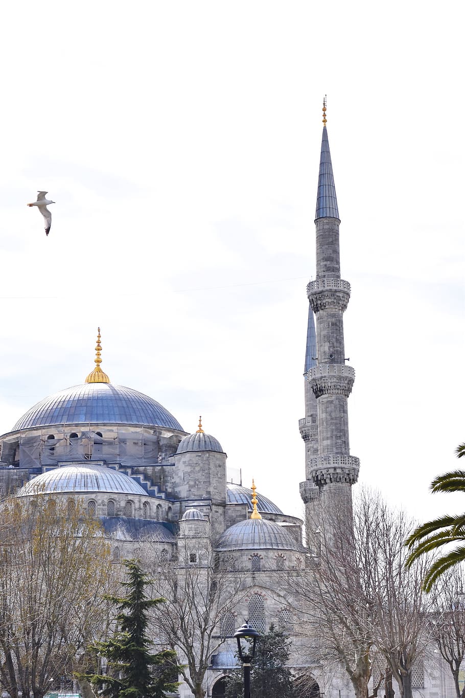 Ortakoy Mosque, religion, building exterior, built structure HD wallpaper