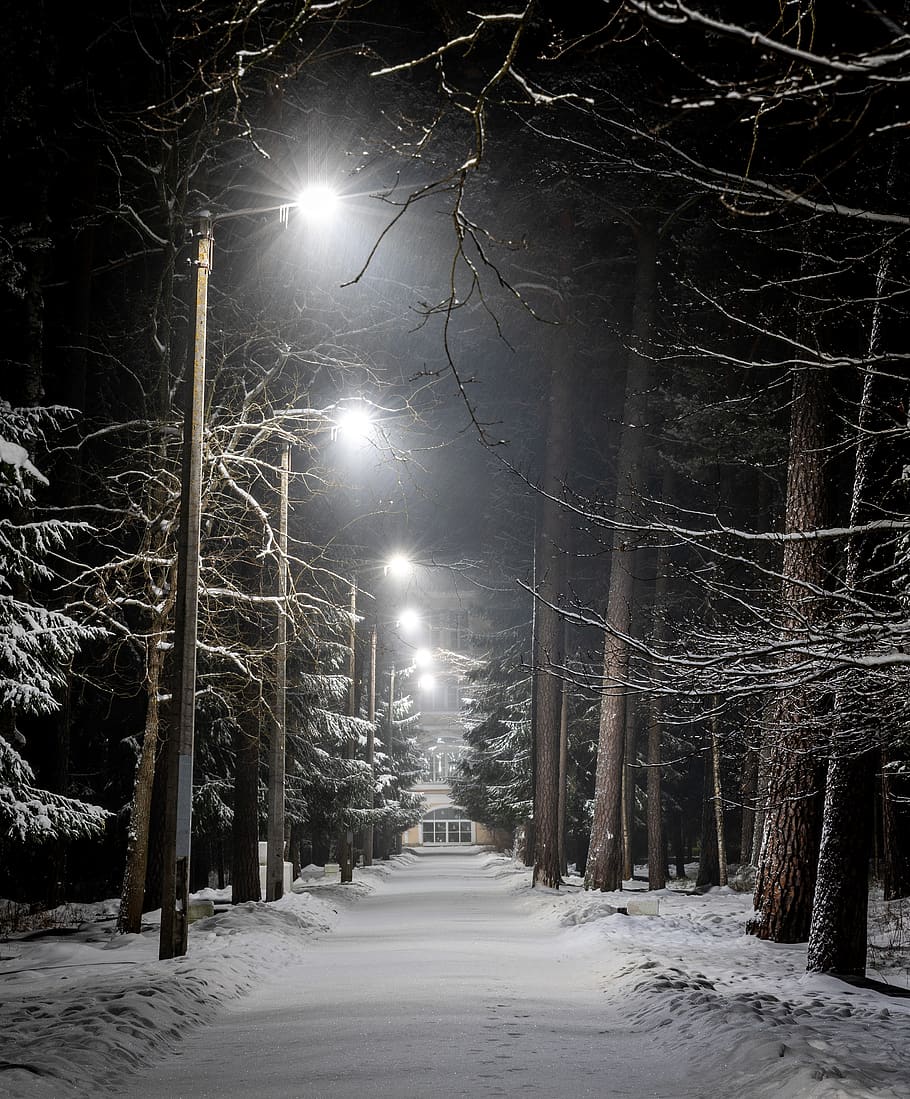 Photo of Pavement With Street Lights During Winter, cold, evening