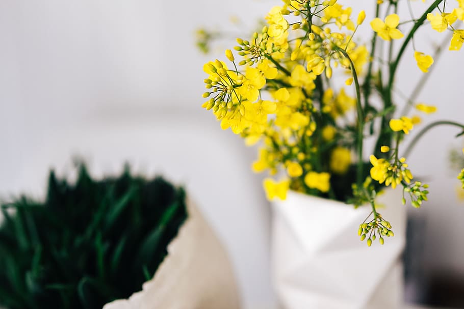 Workspace with yellow flowers, female, minimal, white, workplace HD wallpaper