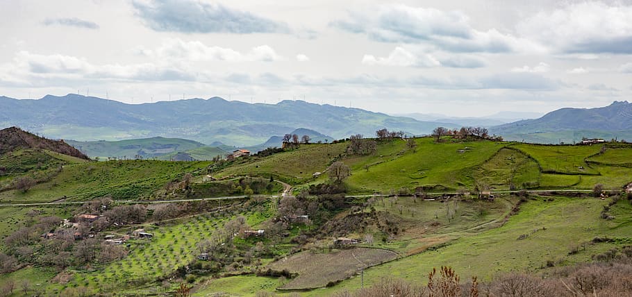 italy, cesarò, tree, mountain, green, sicily, scenics - nature HD wallpaper