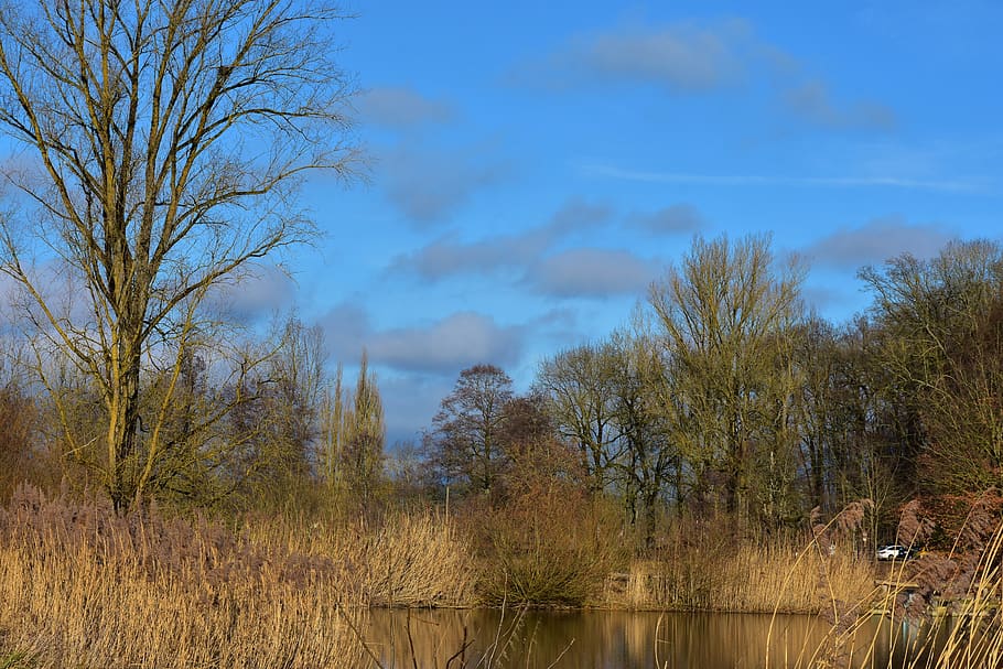 landscape, panorama, grass, sky, water, lake, agriculture, earth HD wallpaper