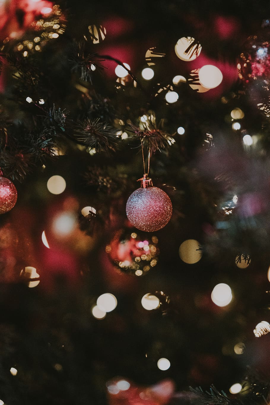 red Christmas baubles, ornament, tree, christmas tree, plant HD wallpaper