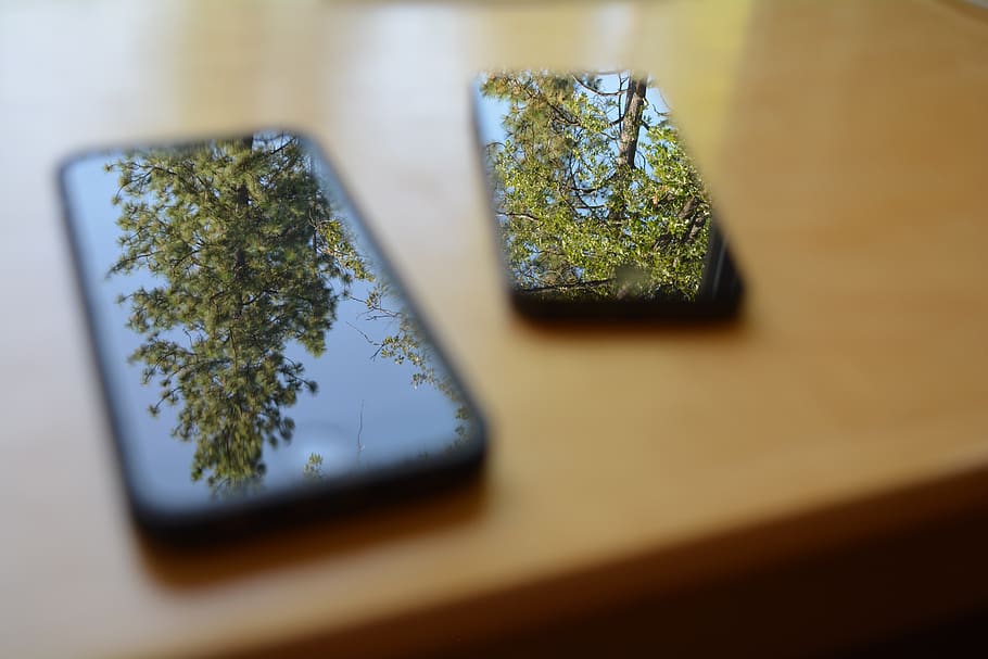 phone, reflection, trees, computer, background, wallpaper, technology HD wallpaper