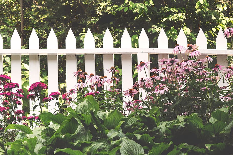 Picket Fence & Flowers Photo, Backgrounds, Seasons, Spring, HD wallpaper