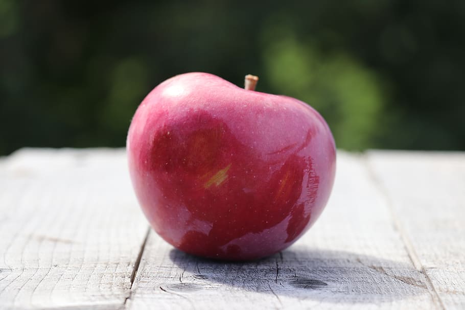 apple, isolation, red, fruit, rustic, food and drink, healthy eating HD wallpaper