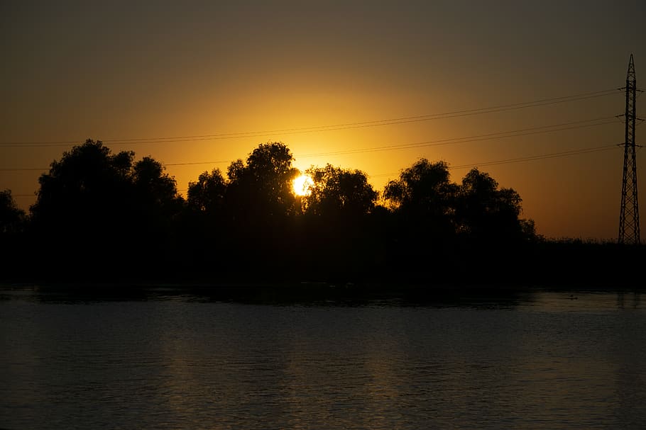 sunset, summer, tree, sky, water, beauty in nature, scenics - nature HD wallpaper