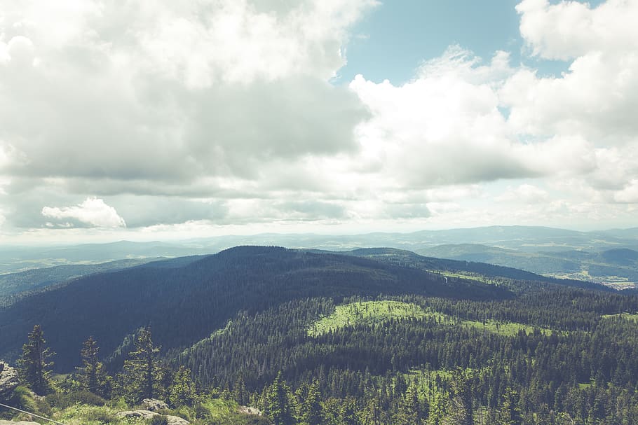 view, path, hiking, outdoor, explore, wood, forest, tree, hill HD wallpaper