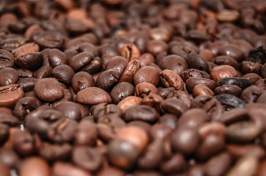 Coffee Beans, brown, caffeine, close-up, macro, food and drink HD wallpaper