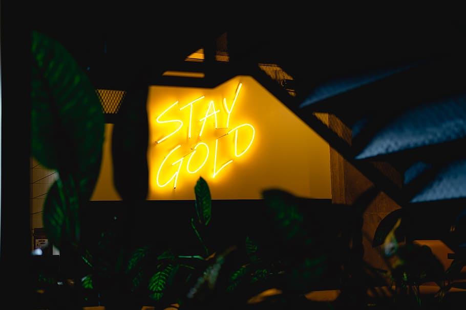 Stay Gold Neon Signage, bright, illuminated, light, neon light, HD wallpaper