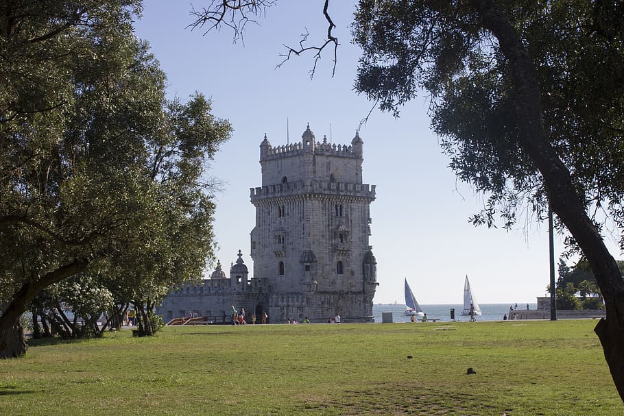 plant, grass, castle, building, architecture, lawn, fort, campus HD wallpaper