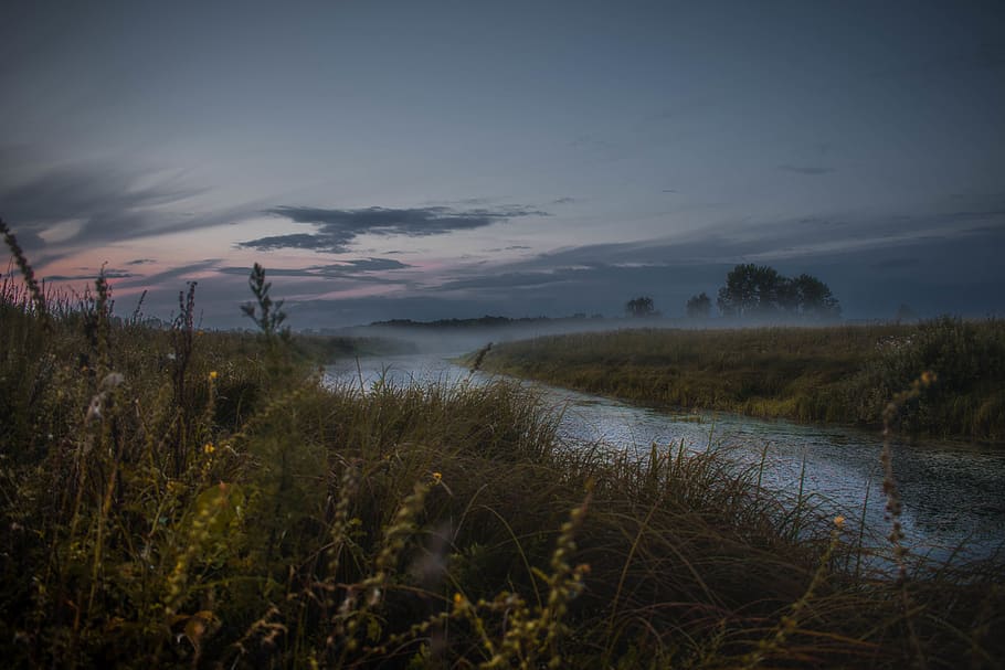 green grasses, field, russia, pervushino, water, nature, river HD wallpaper