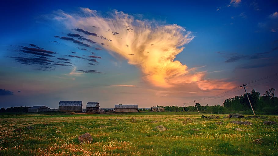 Green Grass Field Under Horizon Photography, clouds, dawn, landscape HD wallpaper