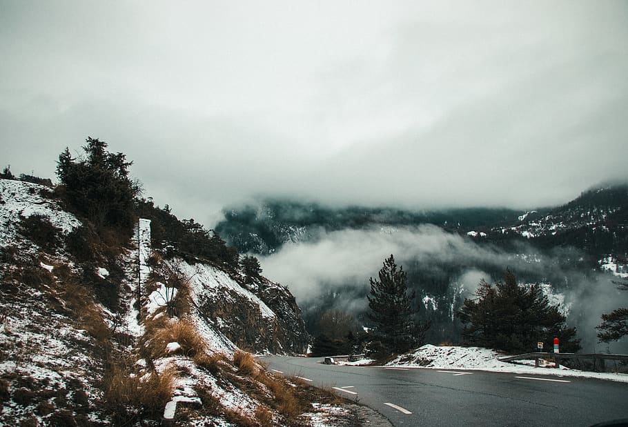 mountain covered with fogs, plant, tree, fir, abies, nature, outdoors HD wallpaper