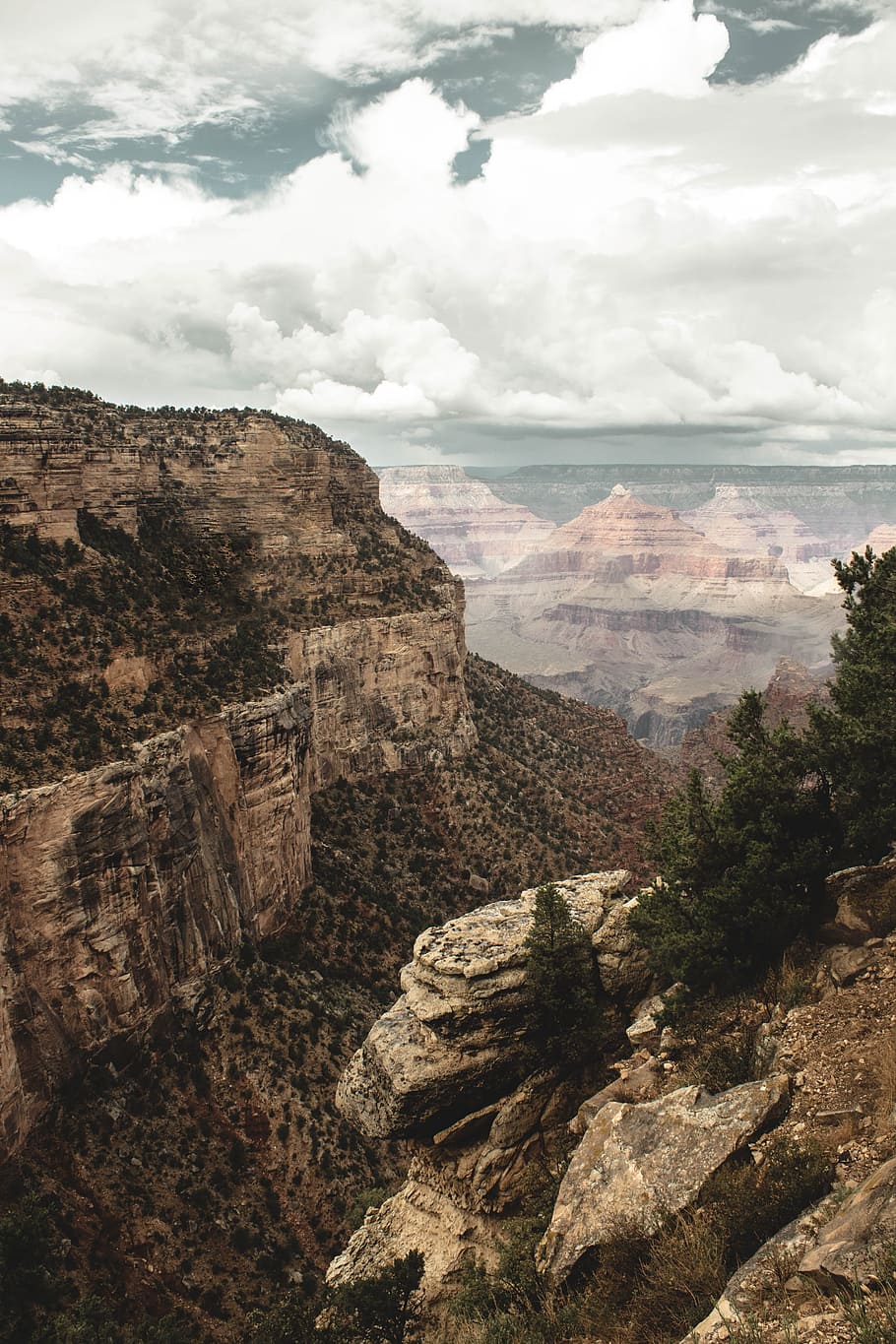 Grand Canyon, Arizona, cloud, sky, ravine, cliff, tree, landscape