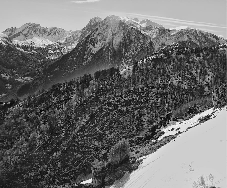 mountains, snow, trees, forest, scenics - nature, beauty in nature HD wallpaper
