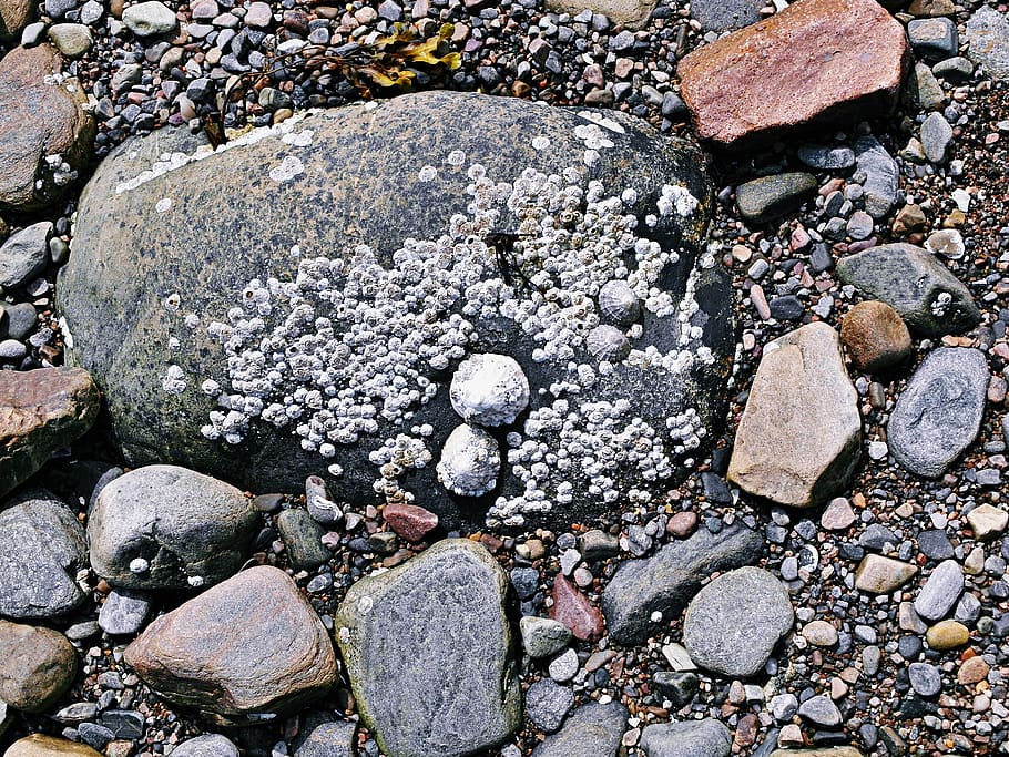 gray rocks during daytime, rubble, pebble, gravel, dirt road HD wallpaper