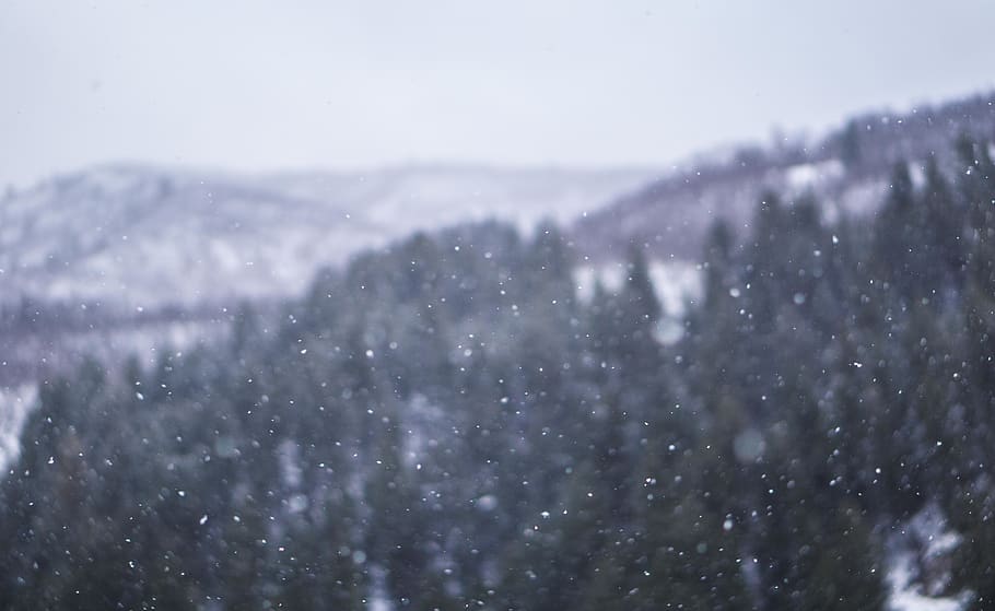 snow, mountain, cold, winter, storm, cold temperature, snowing HD wallpaper