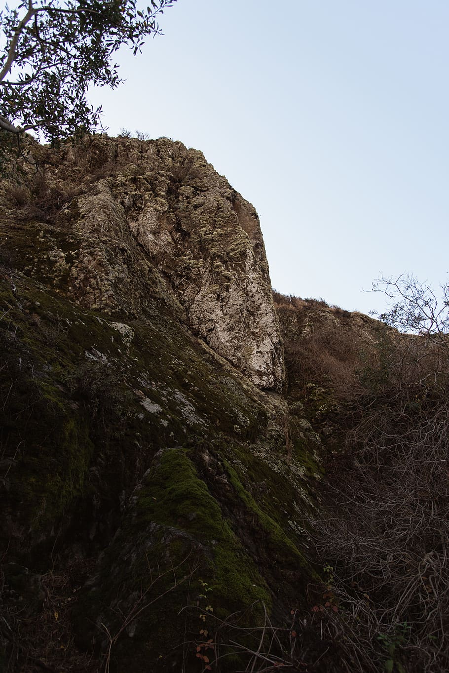 big sur, rocks, sky, plant, nature, clear sky, low angle view HD wallpaper