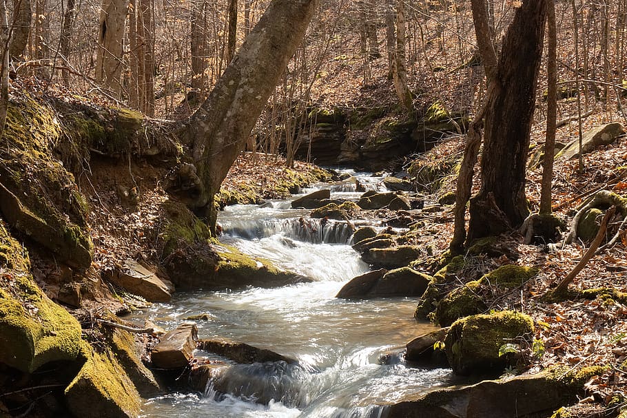 river, stream, nature, landscape, water, outdoors, scenic, wet HD wallpaper