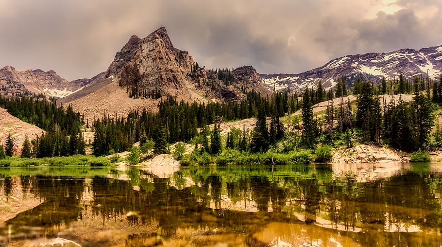 Water Reflecting the Forest and Mountains, calm, clouds, landscape HD wallpaper