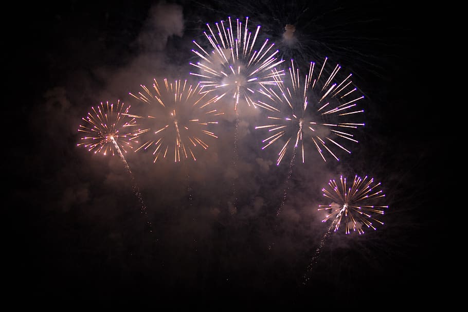 fireworks at night, black, purple, firework display, celebration HD wallpaper
