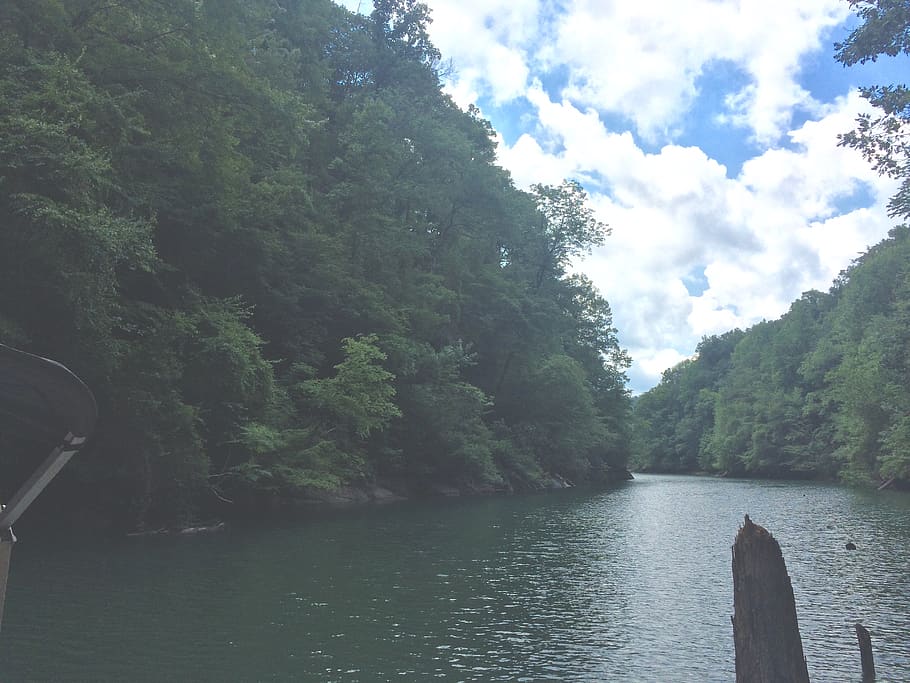 trees, lake, forest, clouds, water, river, boat, boats, rivers HD wallpaper
