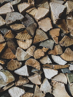brown wood log, lumber, rug, firewood, cracked, texture, pile HD wallpaper