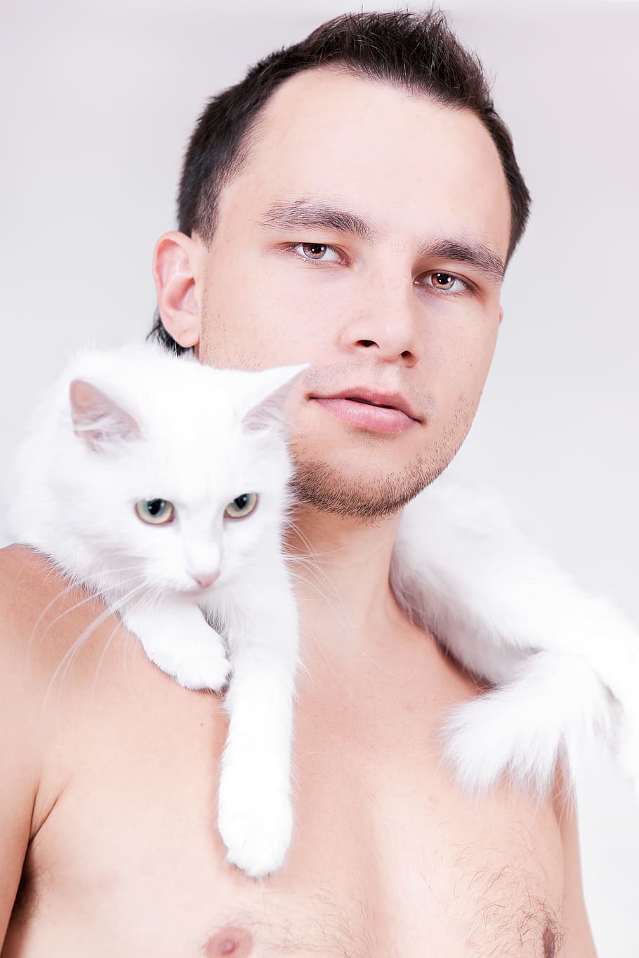 man, cat, white, background, beautiful, studio, isolated, pet HD wallpaper
