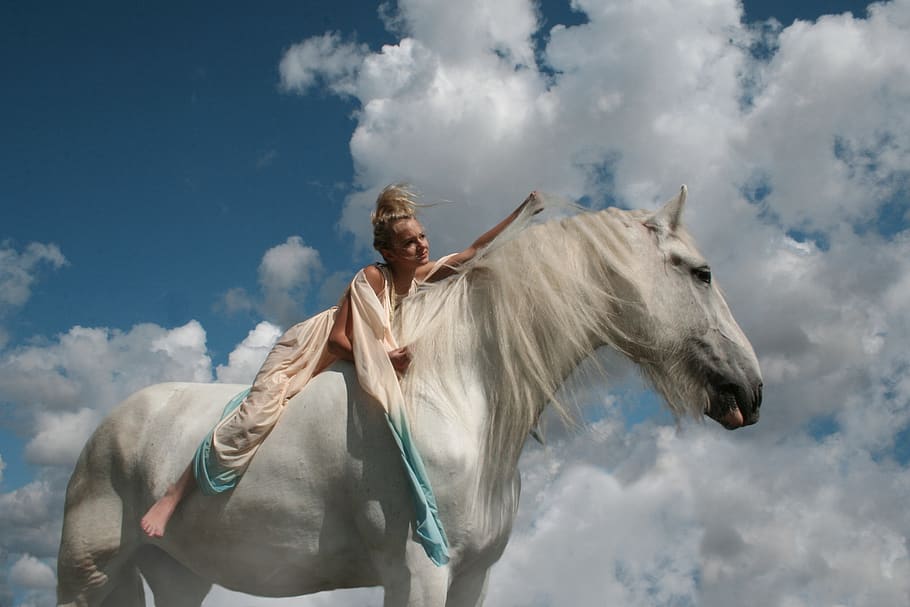 rider, girl, horse, white horse, shire, sky, heavenly, equine, HD wallpaper