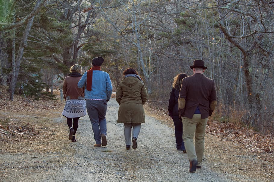 five people walking between trees, rear view, plant, real people HD wallpaper