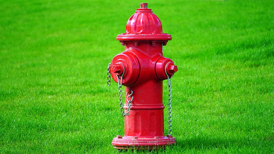 nature, green, red, fire, hydrant, grass, fire hydrant, green color HD wallpaper