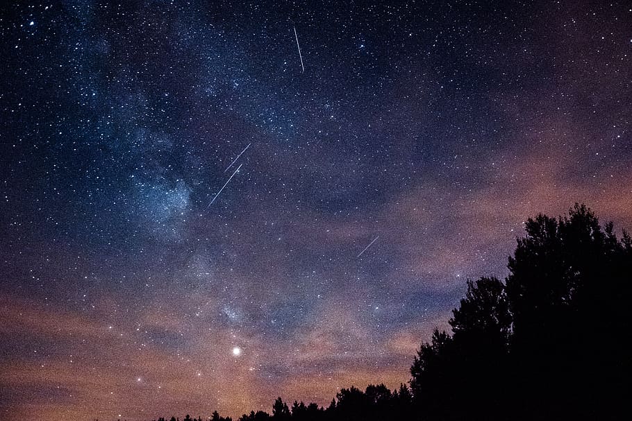 sky milky way, night, galaxy, space, astronomy, silhouette, tree HD wallpaper