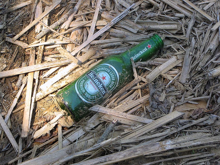 beer, bottle, litter, environment, no people, day, high angle view HD wallpaper