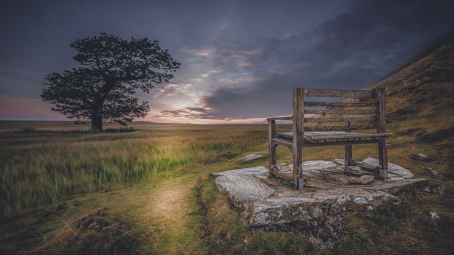 silent, bank, rest, sunset, scenic, meadow, plant, sky, tree HD wallpaper