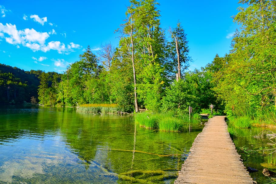 nature, web, water, lake, mood, sky, landscape, waters, boardwalk HD wallpaper