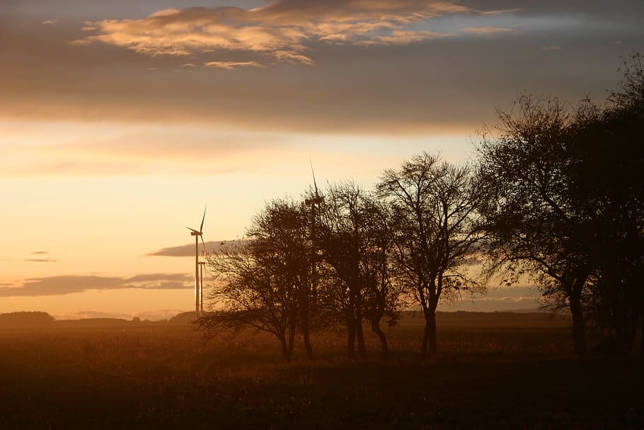 sunset, trees, windmill, sky, cloud - sky, beauty in nature HD wallpaper