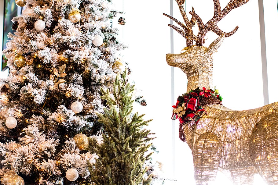 christmas, background, deer, elk, christmas tree, plad, white HD wallpaper