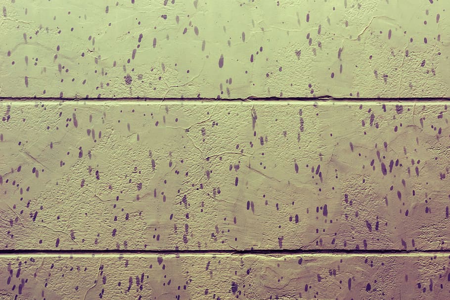 rain, wall, parede, chuva, depression, magenta, colors, still HD wallpaper
