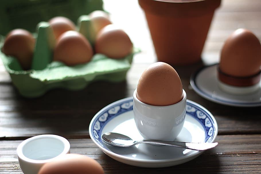brown egg on white bowl, food and drink, table, eggcup, refreshment HD wallpaper