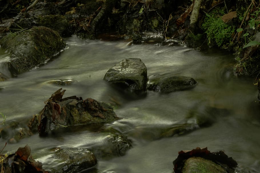 stream, forest, woods, creek, water, rock, rock - object, solid HD wallpaper