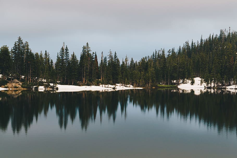 trees, lake, forest, snow, spring, colorado, mountains, reflection HD wallpaper