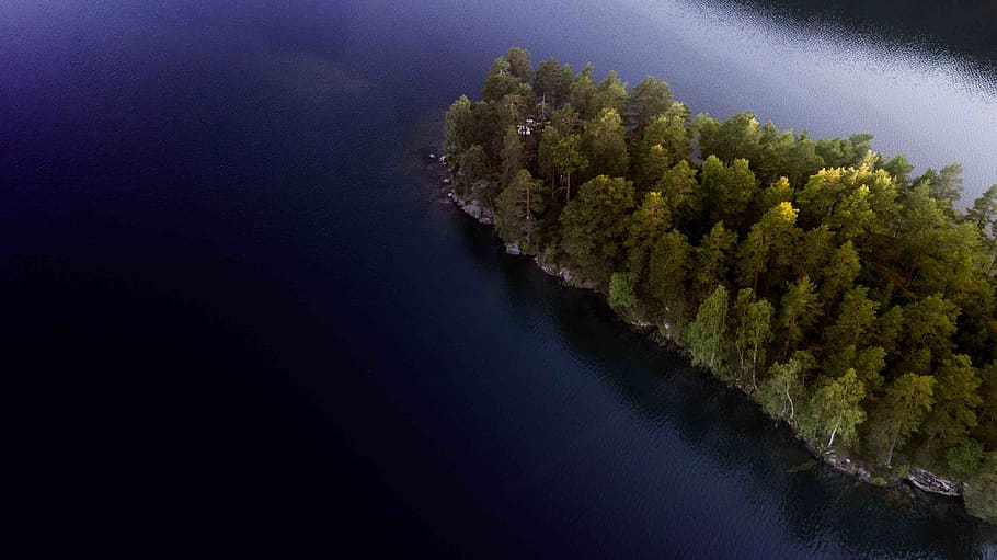 norway, sea, nature, water, underwater, undersea, beauty in nature HD wallpaper