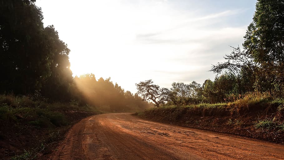 hiking trail view, flare, light, road, nature, outdoors, kenya HD wallpaper