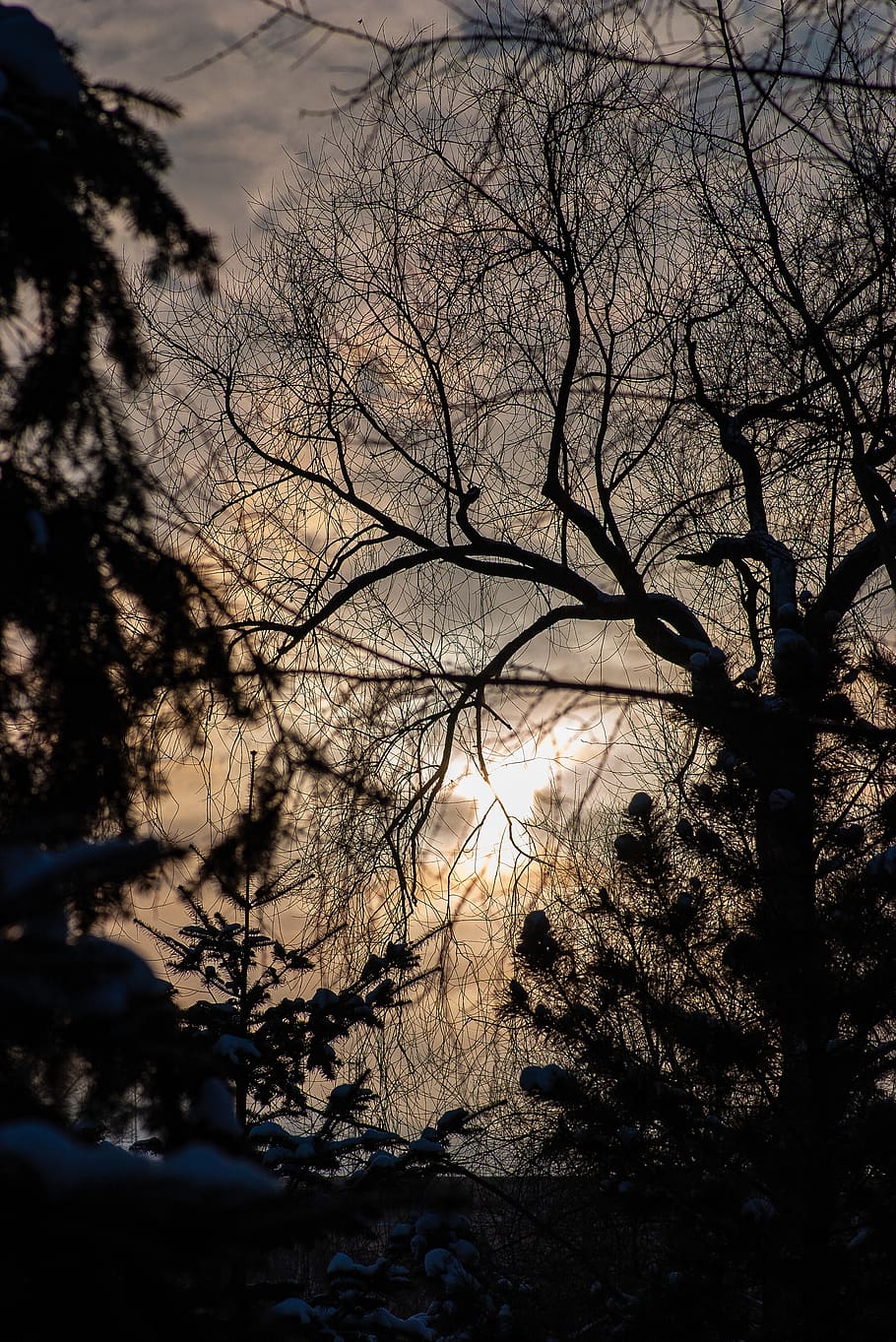 flare, light, sunlight, silhouette, nature, outdoors, sky, sunset HD wallpaper