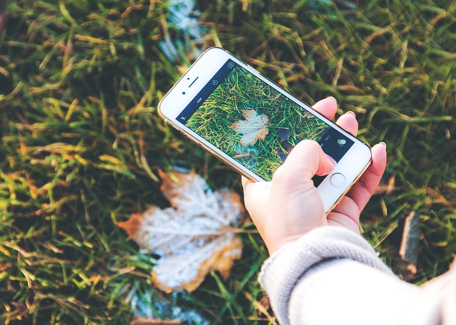 smartphone, iphone, iphone 6, apple inc, autumn, fall, leave HD wallpaper