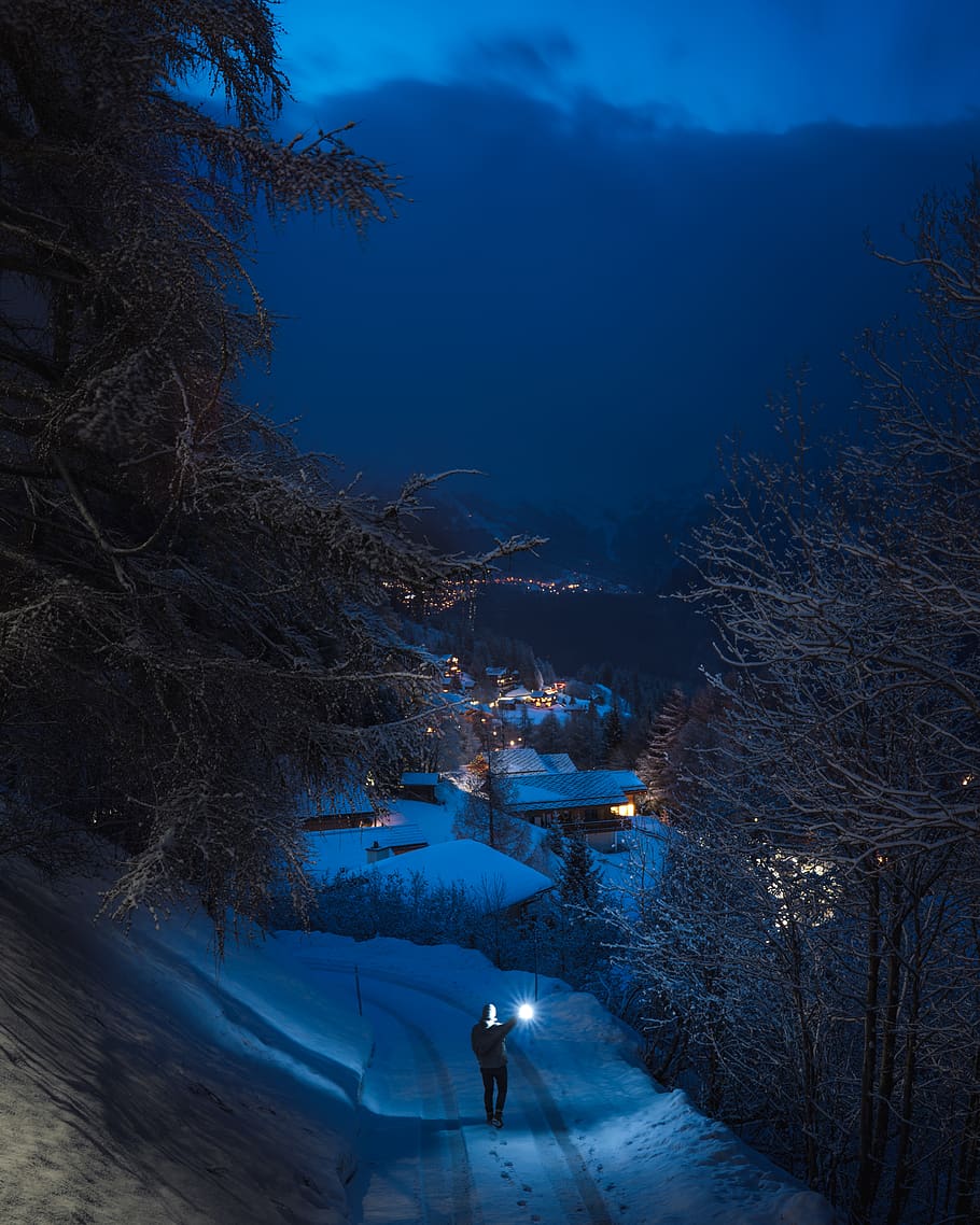 Person Holding Flashlight in Road, beautiful, blue, christmas