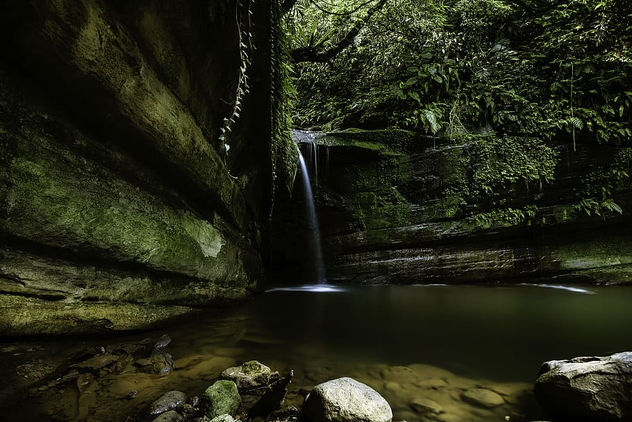 waterfall, natural, tree, long exposure, rock, scenics - nature HD wallpaper